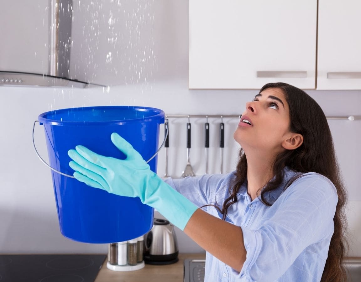 Understanding Roof Leaks